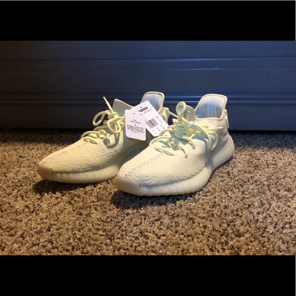 Yeezy boost 350 v2